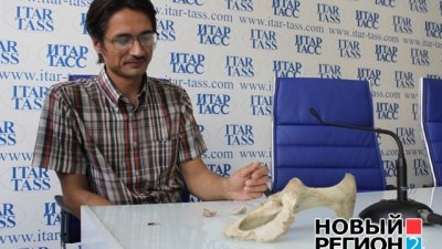 Когда Урал был саванной: ученые рассказали об уникальной находке костей древнего носорога
