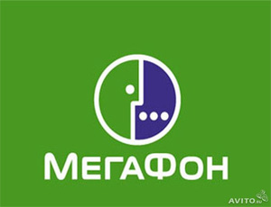 В компании «Мегафон» назначен новый руководителем по развитию корпоративного бизнеса  в Челябинской области