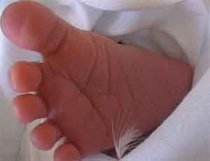 В Челябинске в магазине обнаружен мертвый новорожденный ребенок
