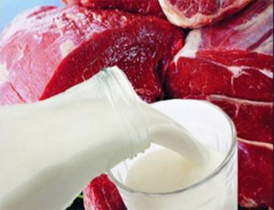 На Южном Урале обнаружено две тонны фальсифицированного мяса и молока