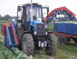 В Челябинской области на треть выросла урожайность зерновых
