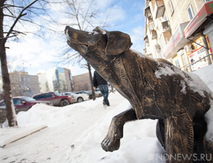 В Екатеринбурге установили памятник бездомным животным с копилкой для сбора средств (ФОТО)