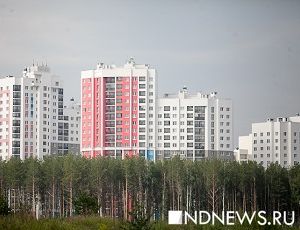 Чиновники создают Единый реестр недвижимости – очереди и волокита должны исчезнуть