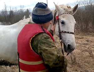 Операцию по спасению лошади провели в  затопленном паводком селе (ВИДЕО)