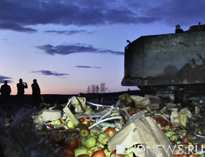 В Свердловской области смешали с землей 20 тонн польских яблок и подозрительных груш