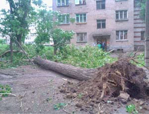 Аварийные деревья, мусор на остановках и беспорядочная реклама: власти Челябинска подвели итоги рейдов по районам