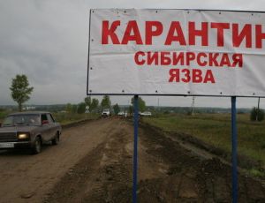 Сибирской язвой на Ямале заразились 8 человек / В больнице находятся 72 кочевника