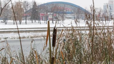19 января ожидаются следующие события – Челябинск