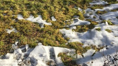 Челябинской области обещают усиление ветра и мокрый снег