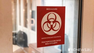 В Ставропольском крае женщина заразилась сибирской язвой