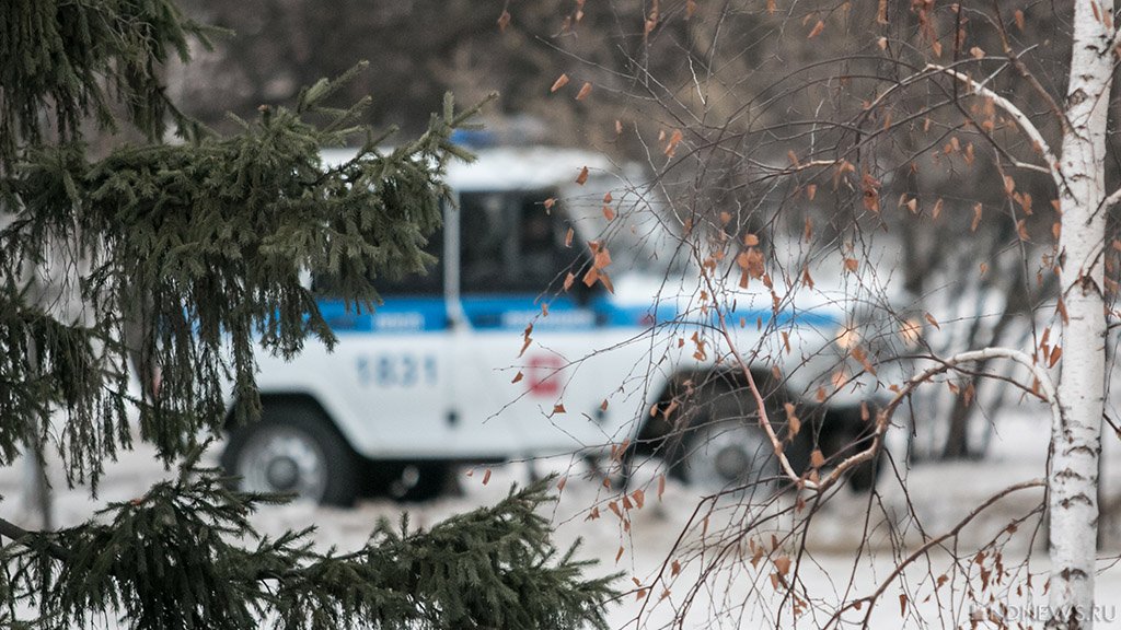 Маршрут пропавшей в Екатеринбурге 13-летней девочки отследили по камерам / Но найти ребенка не удалось