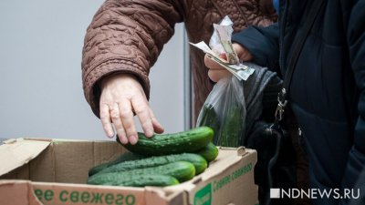 В Свердловской области замедлился рост цен на продукты питания, подорожали мебель и одежда