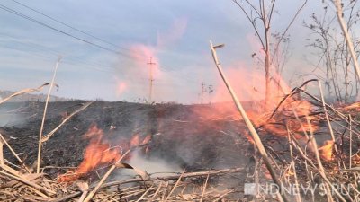 Канада запросила международную помощь в борьбе с масштабными лестными и ландшафтными пожарами, бушующими в стране