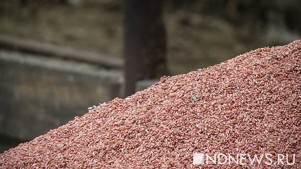 В ЕС задумались над вывозом зерна с Украины по суше