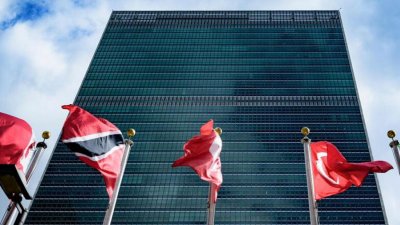 Россия выступила против трансляции «оголтелых фейков» с площадок ООН
