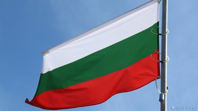 Министр обороны Болгарии: Тяжелого вооружения Киев не получит