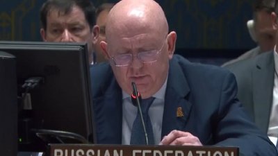 Россия подала жалобу на США и Украину в Совбез ООН