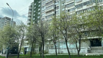 В Екатеринбурге зацвели яблони (ФОТО)