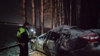 Во время снегопада «Лада» врезалась в дерево. Погиб пассажир (ФОТО)