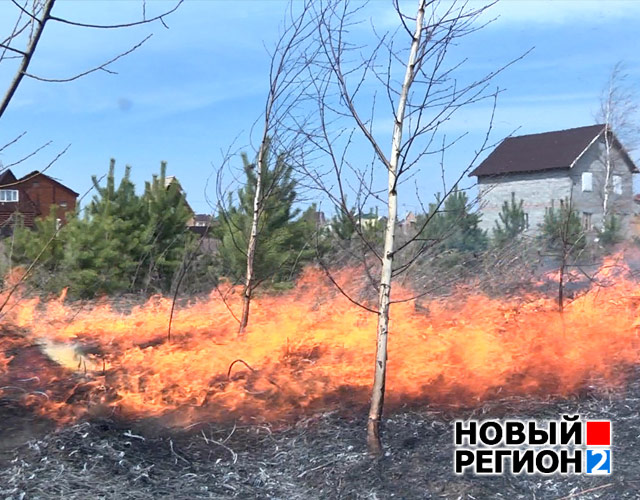 Новый Регион: В Екатеринбурге открыт сезон природных пожаров – пламя подбирается к домам (ФОТО, ВИДЕО)