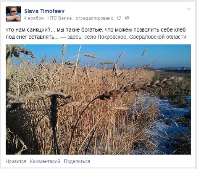 Новый Регион: Жители Свердловской области фотографируют ушедший под снег урожай (ФОТО)