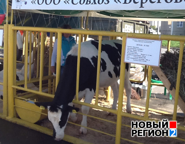 В Челябинске открылась четвертая агропромышленная выставка УрФО (ФОТО)