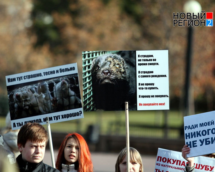 Спаси жизнь – откажись от шубы (ФОТОРЕПОРТАЖ) / В Челябинске прошел Антимеховой марш
