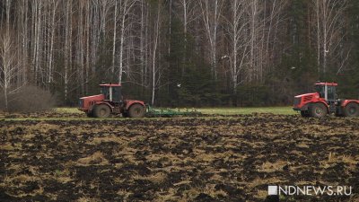 Уральские аграрии рассказали, как готовятся к посевной: «Начнем сеять не раньше второй декады мая»
