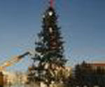 Новогоднюю елку на главной площади города установят в начале следующей недели