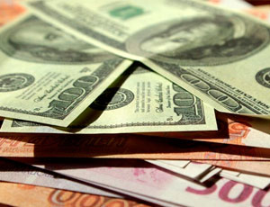 Домработница украла из дома хозяина в Сысерти больше пяти тысяч долларов