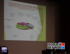 Горожане одобрили «бюджет выживания» Екатеринбурга (ФОТО)