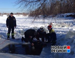Водолазы нашли в реке шапку пропавшей в Серове 7-летней девочки (добавлено ФОТО)