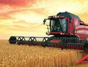 В Зауралье убрано более 1,3 млн тонн зерна