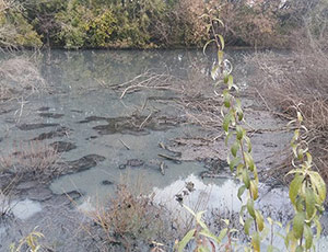 В загрязнении реки Миасс в Челябинске обвинили организацию  минобороны