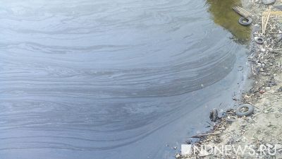 Экологи бью тревогу из-за зловонной пленки на реке Дон