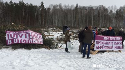 Сотни митингующих в Академическом требуют не вырубать лес и уволить директора АИЖК (ФОТО)
