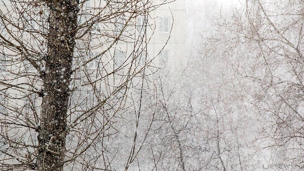 На Южный Урал вновь надвигаются снег и метели