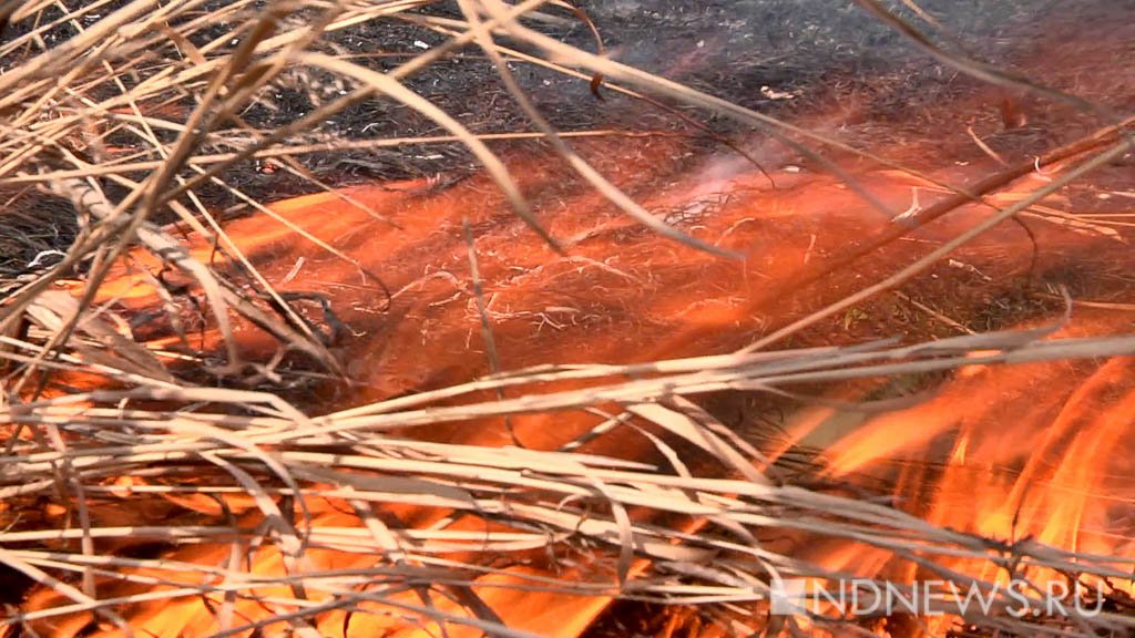 Якут попал под суд за поджог сухой травы, превратившийся в крупный пожар