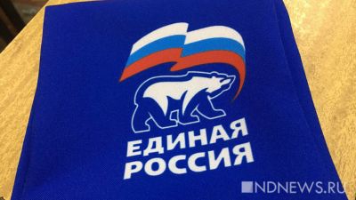 Единороссы пожаловались на мошенников, проводящих в интернете опросы «за вознаграждение» от имени партии