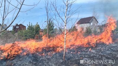 В Свердловской области продолжают гореть леса: за сутки огонь прошел более 1300 гектаров