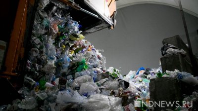 На мусороперерабатывающем заводе среди отходов нашли живую собаку