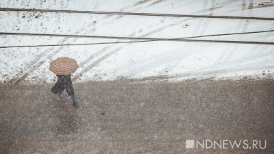 В Канаде один человек стал жертвой ледяного шторма