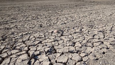 Три страны в Южной Африке ввели режим национального бедствия из-за засухи
