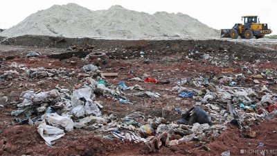 «Ну, не шмогла я…» В Госдуме заявили о новом провале в «мусорной реформе»