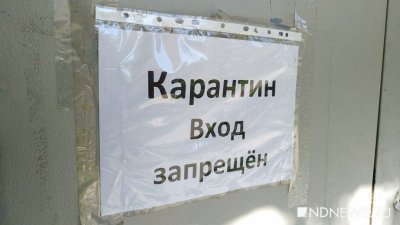 Ни в магазин сходить, ни пообедать: в Челябинской области ужесточили антиковидные требования