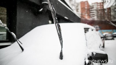 Сильный снегопад: в Москве объявлено штормовое предупреждение