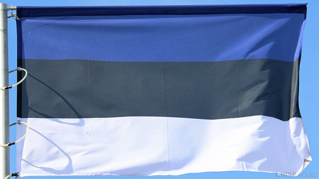 Эстония готовит план конфискации российских активов для передачи их Киеву