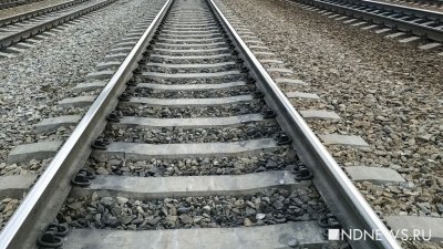 В Подмосковье поезд насмерть сбил школьницу