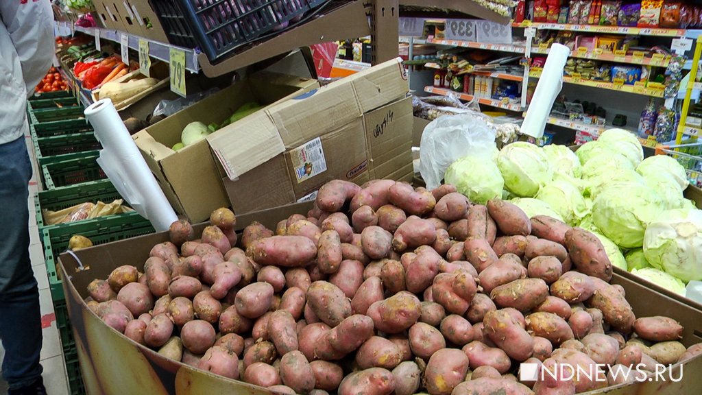 Эксперты прогнозируют рост цен на овощи до 100% после завершения уборочной кампании