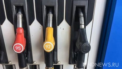 В Госдуме попросили ФАС проверить цены на бензин на АЗС